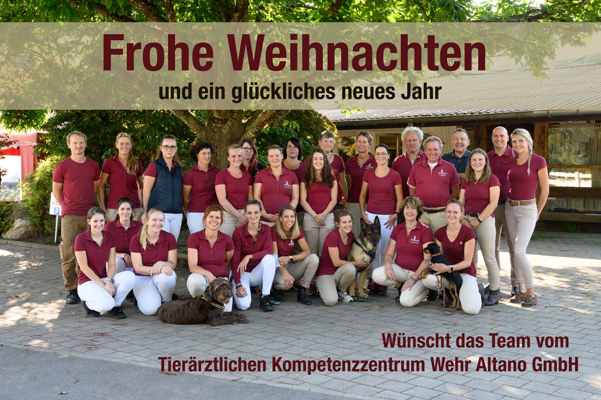 Teamfoto Tierärztliches Kompetenzzentrum Wehr Altano GmbH - Frohe Weihnachen