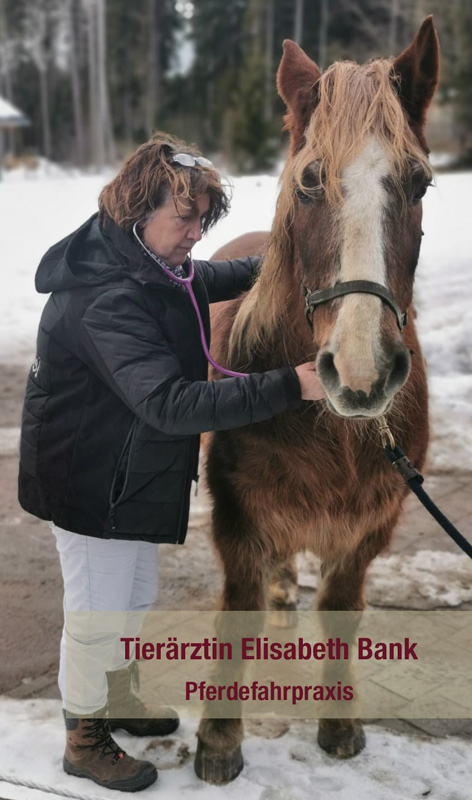 Tierärztin Elisabeth Bank, Pferdefahrpraxis