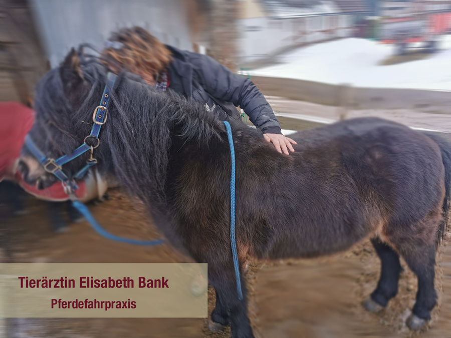 Tierärztin Elisabeth Bank, Pferdefahrpraxis