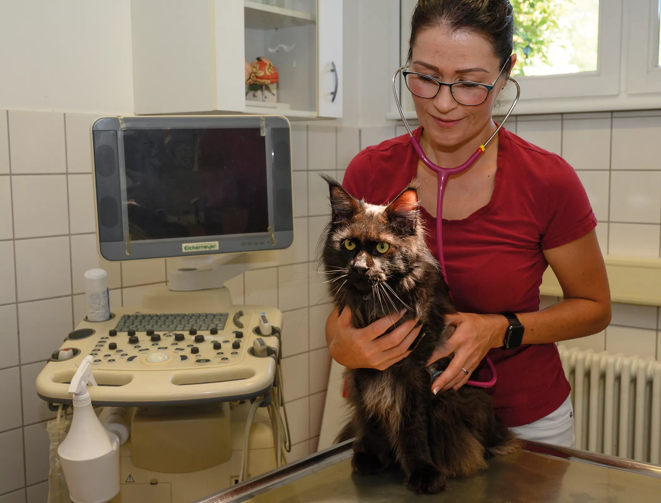 Kleintierpraxis - Kleintierklinik Tierklinik Partnes, Wehr