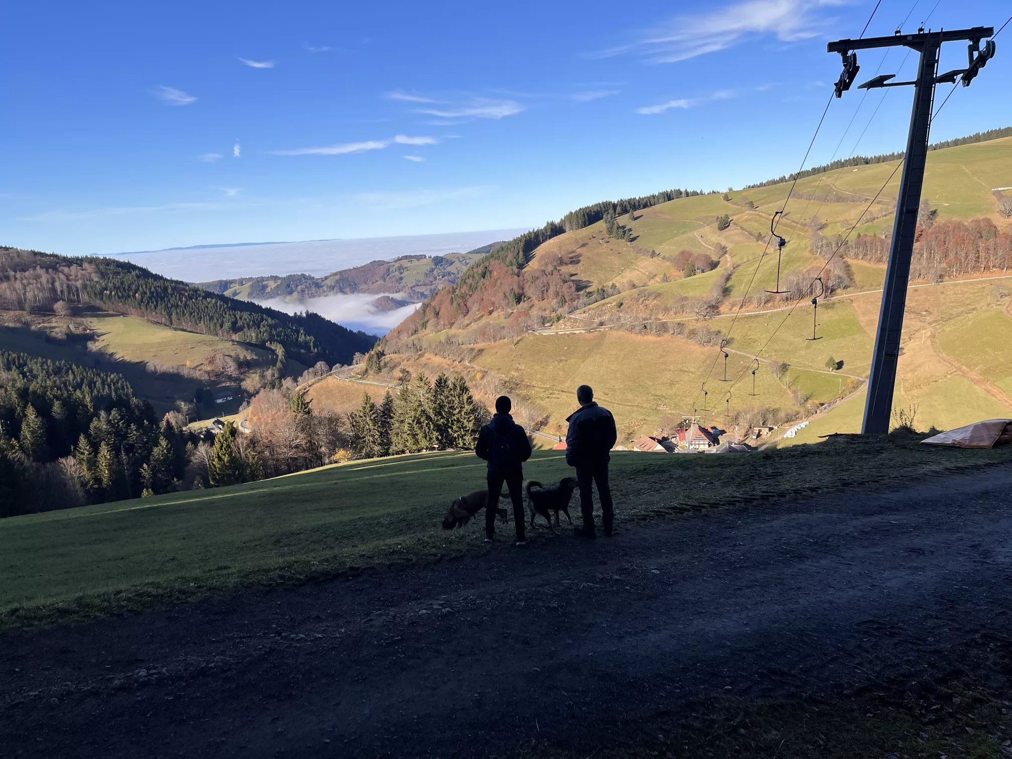 schwarzwald4