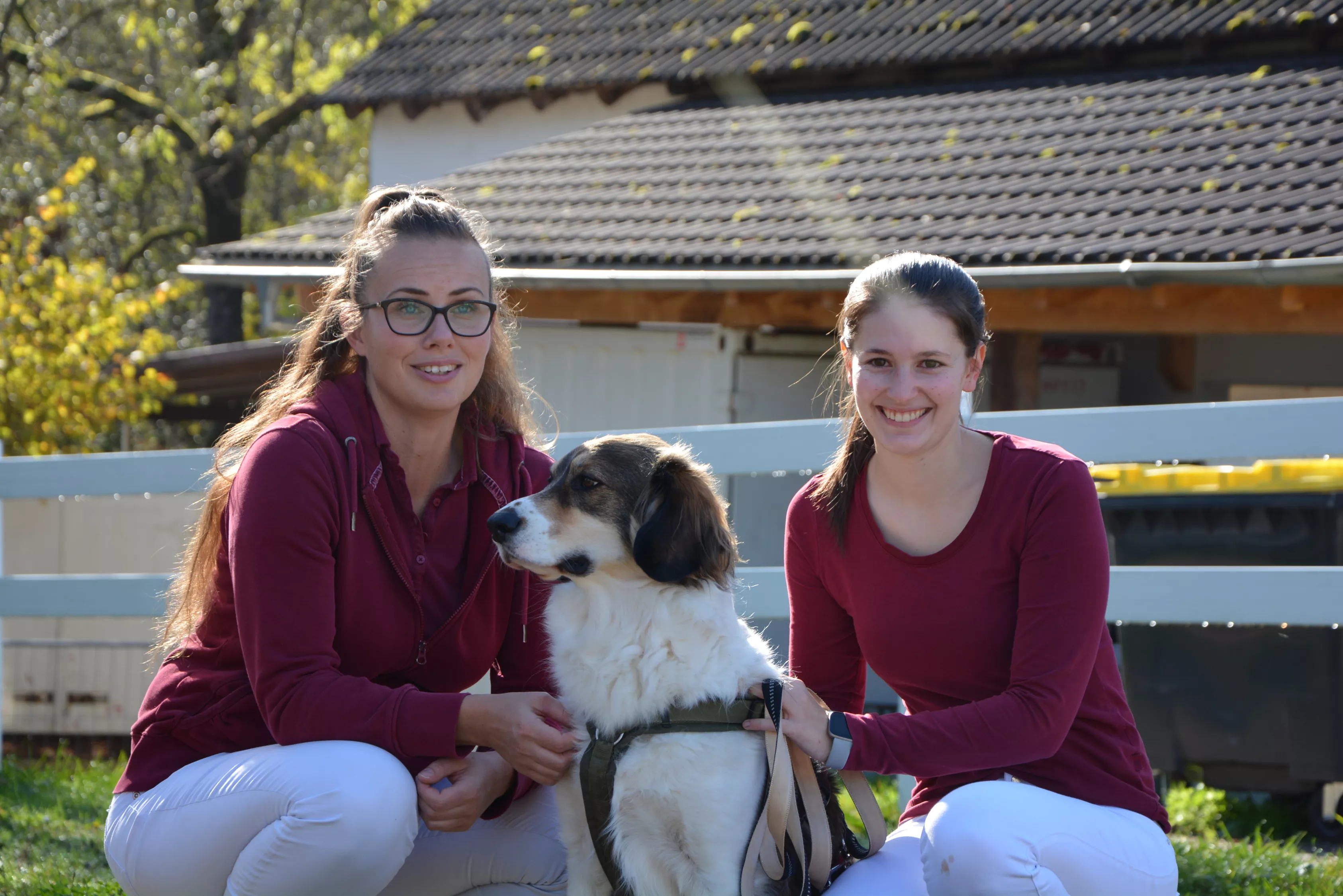 tierische-gemeindschaft2