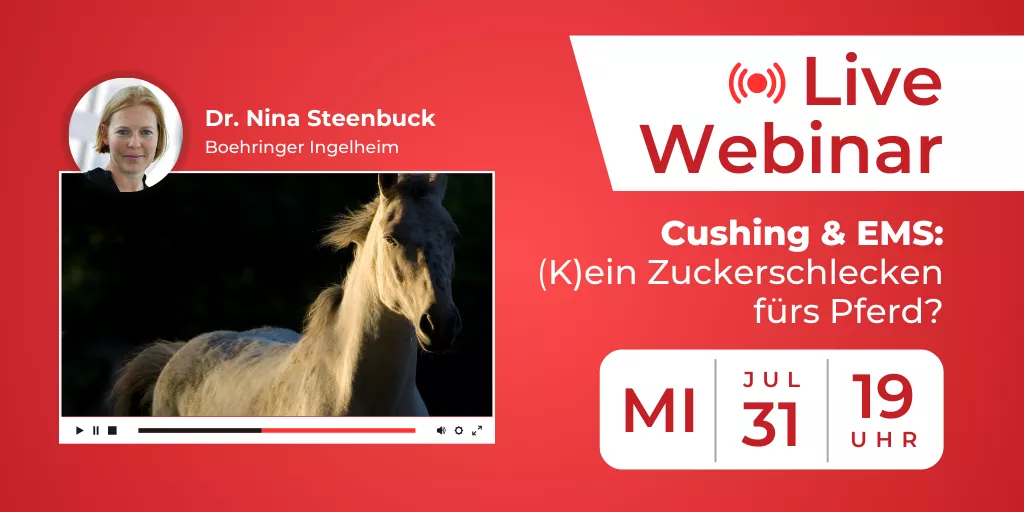 DIAGNOSTIKAKTION FÜR PFERDEHALTENDE bei Verdacht auf Insulin-Dysregulation & LIVE-WEBINAR "Cushing & EMS: (Kein) Zuckerschlecken fürs Pferd?