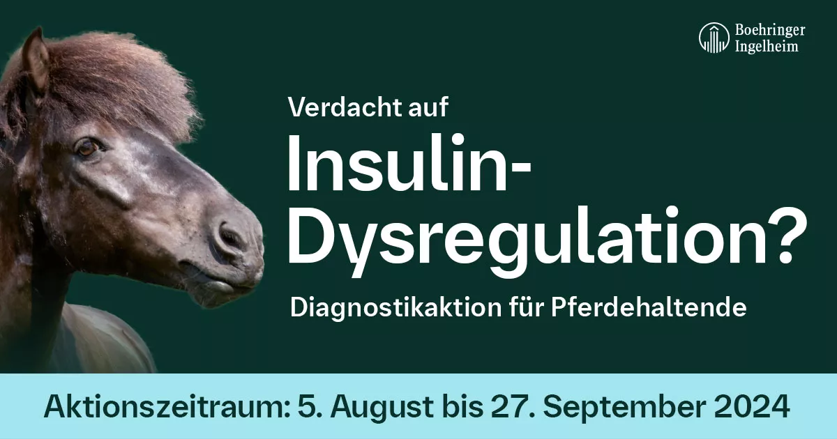 DIAGNOSTIKAKTION FÜR PFERDEHALTENDE bei Verdacht auf Insulin-Dysregulation & LIVE-WEBINAR "Cushing & EMS: (Kein) Zuckerschlecken fürs Pferd?