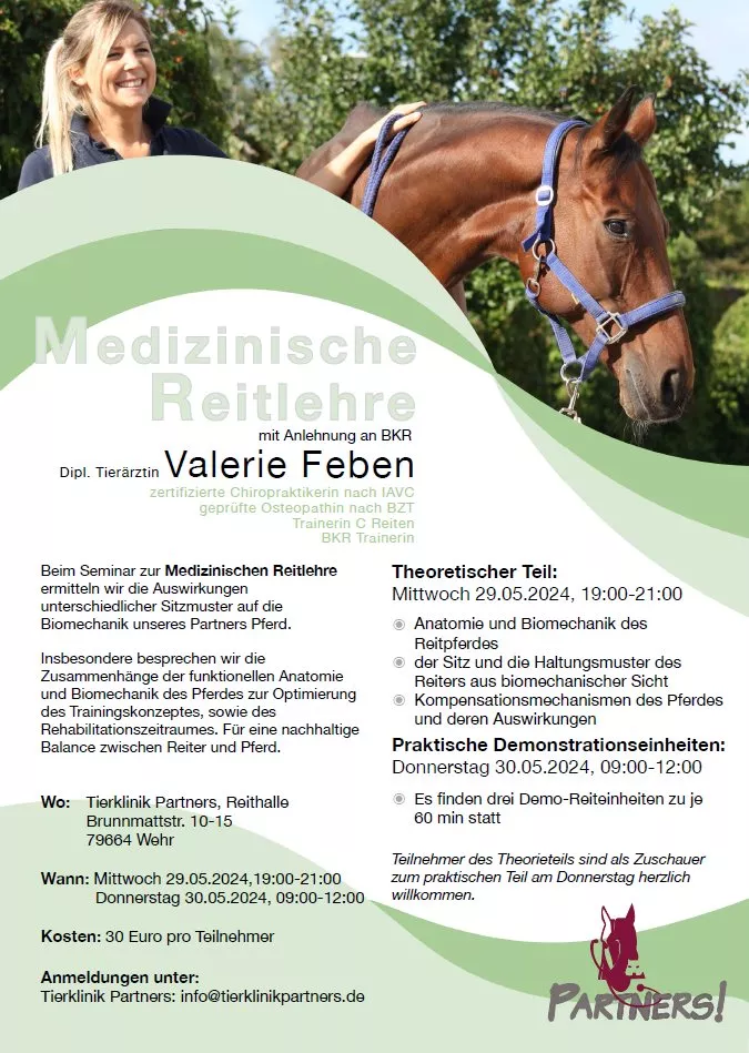 medizinische Reitlehre