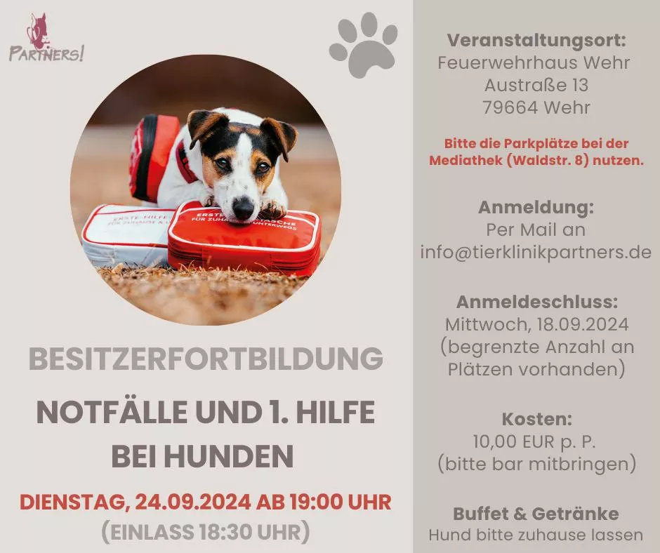 Besitzerfortbildung 1. Hilfe bei Hunden