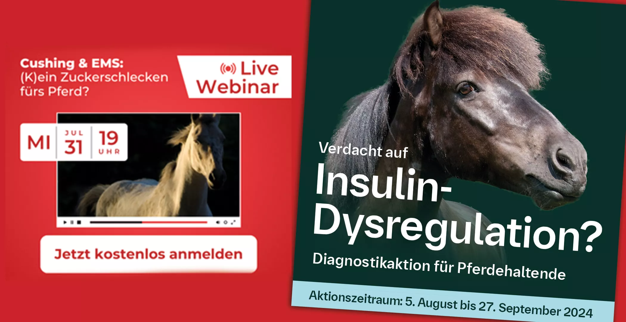 DIAGNOSTIKAKTION FÜR PFERDEHALTENDE bei Verdacht auf Insulin-Dysregulation & LIVE-WEBINAR "Cushing & EMS: (Kein) Zuckerschlecken fürs Pferd?