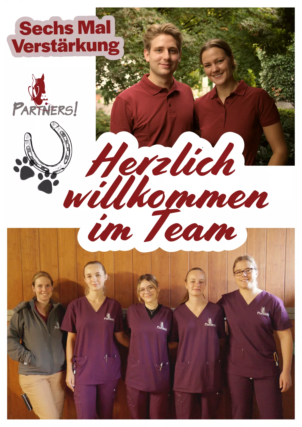 sechs neue Gesichter verstärken seit dem 1. September 2025 unser Team sechs neue Gesichter verstärken seit dem 1. September 2025 unser Team