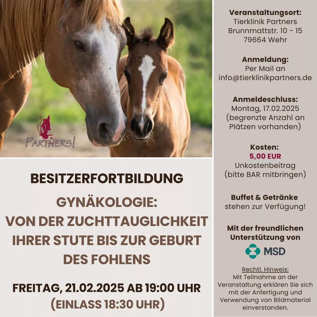 BESITZERFORTBILDUNG - Von der Zuchttauglichkeit Ihrer Stute bis zur Geburt des Fohlens 🐎 am 17.02.25