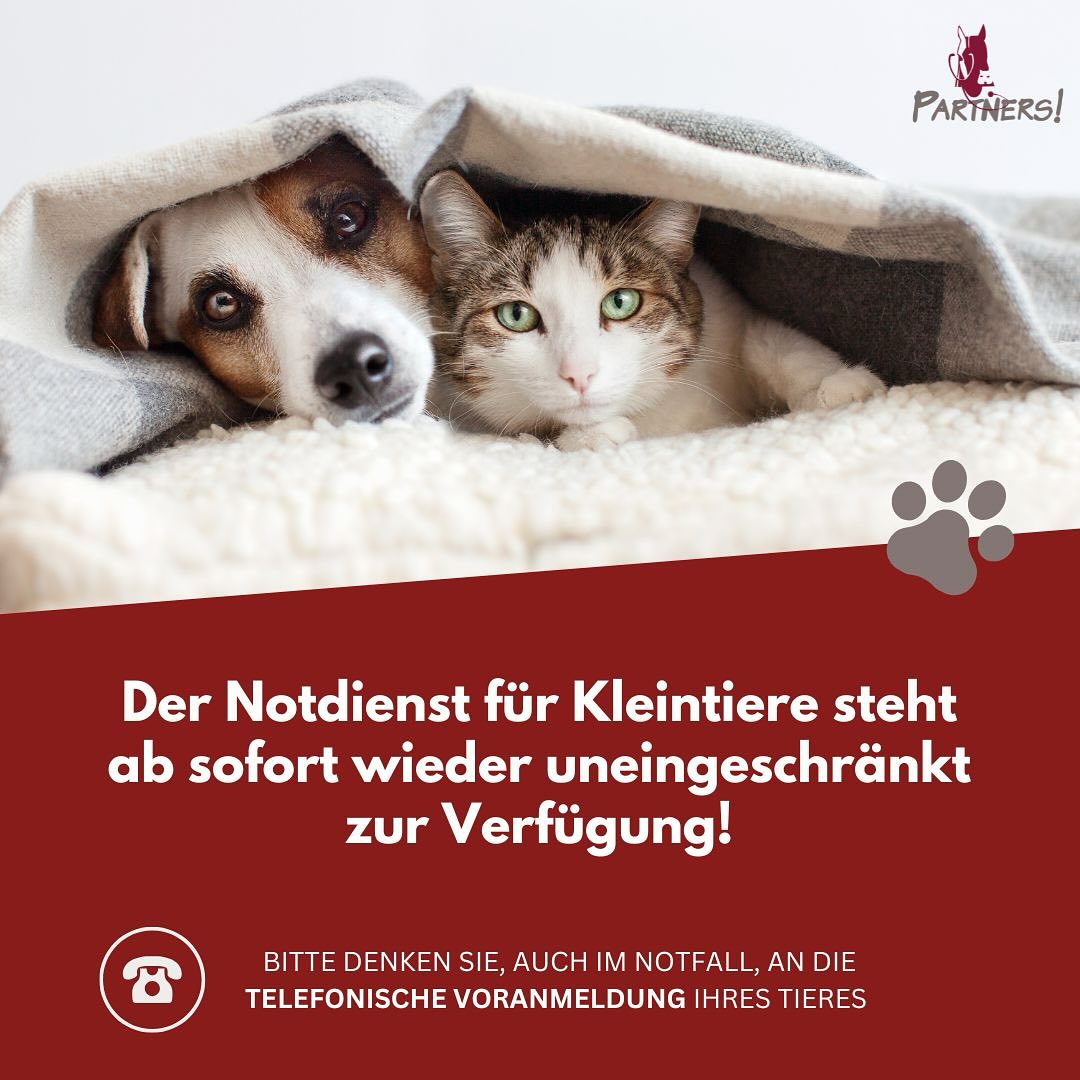 Notdienst für Kleintiere