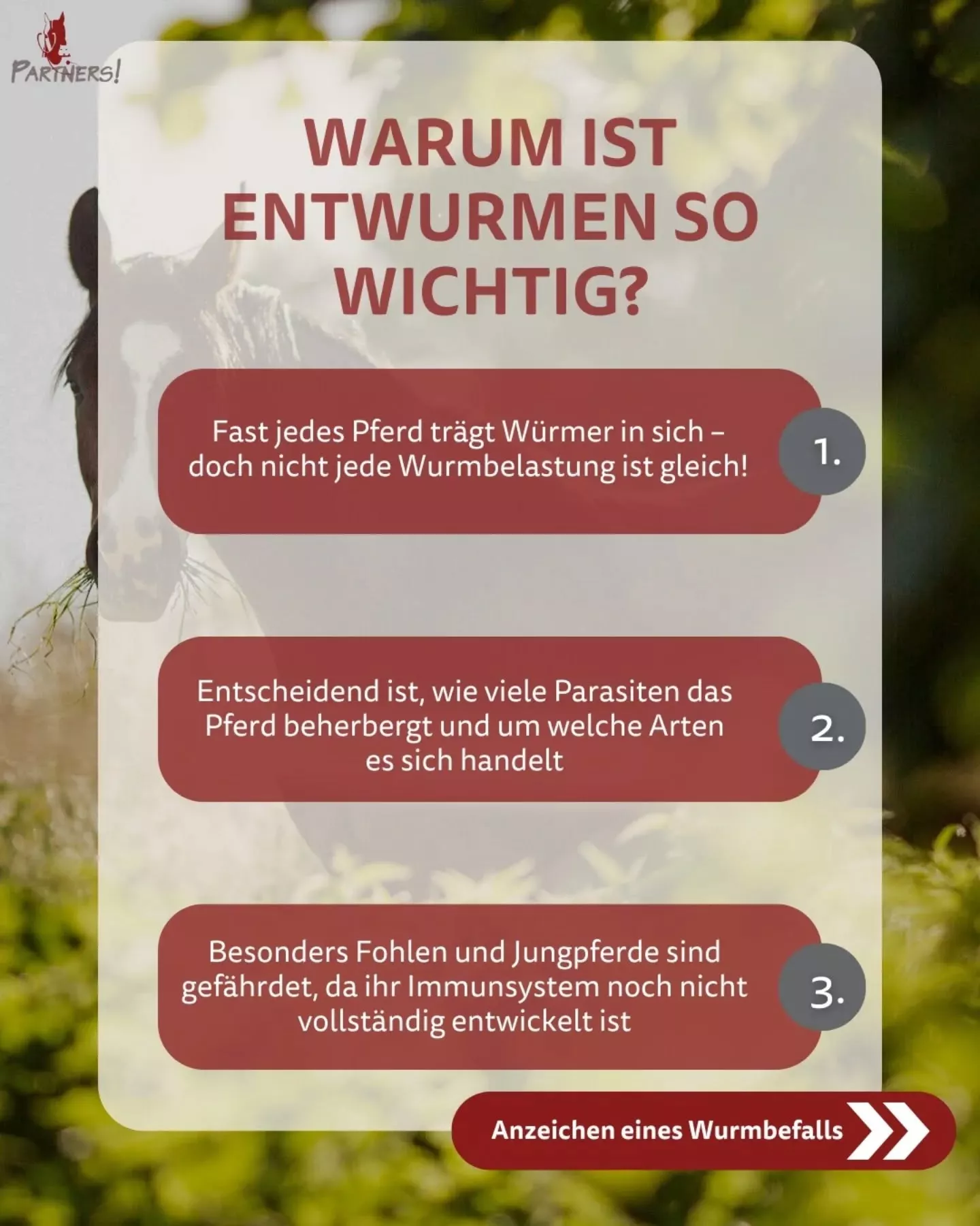 Warum ist Entwurmen so wichtig? Warum ist Entwurmen so wichtig?
