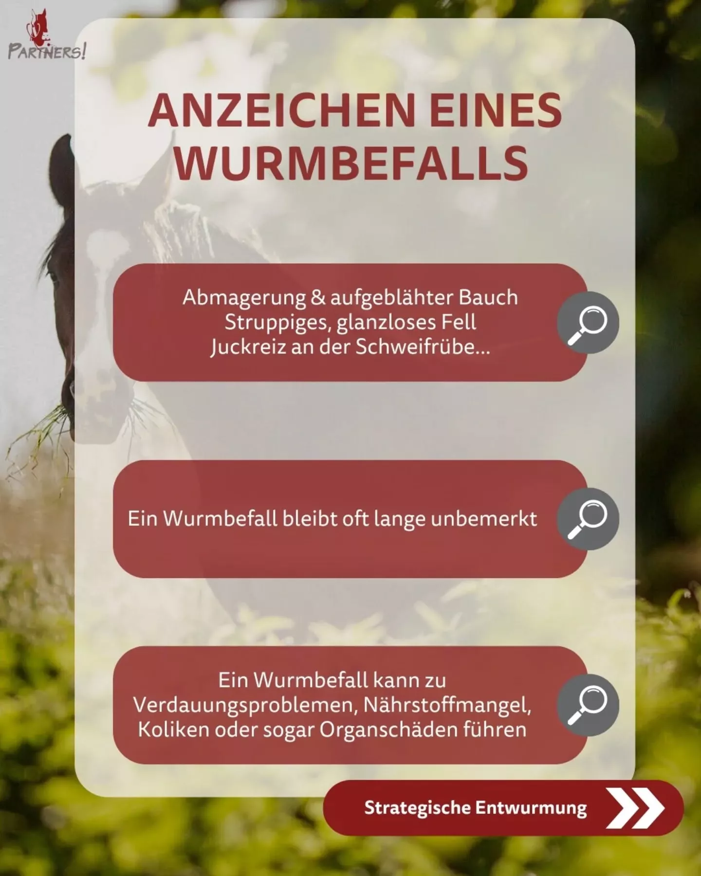 Anzeichen eines Wurmbefalls Anzeichen eines Wurmbefalls