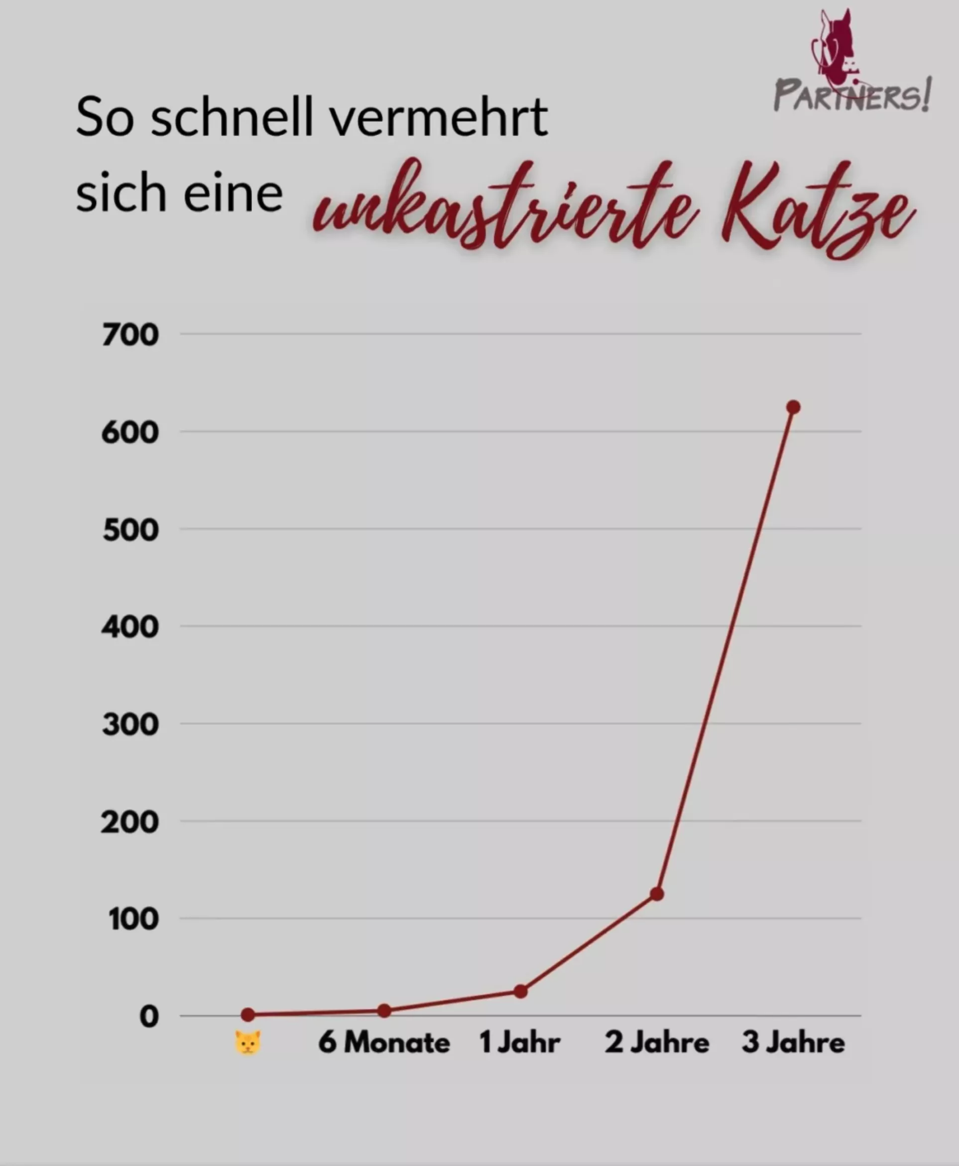 So schnell vermehrt sich eine unkastrierte Katze So schnell vermehrt sich eine unkastrierte Katze