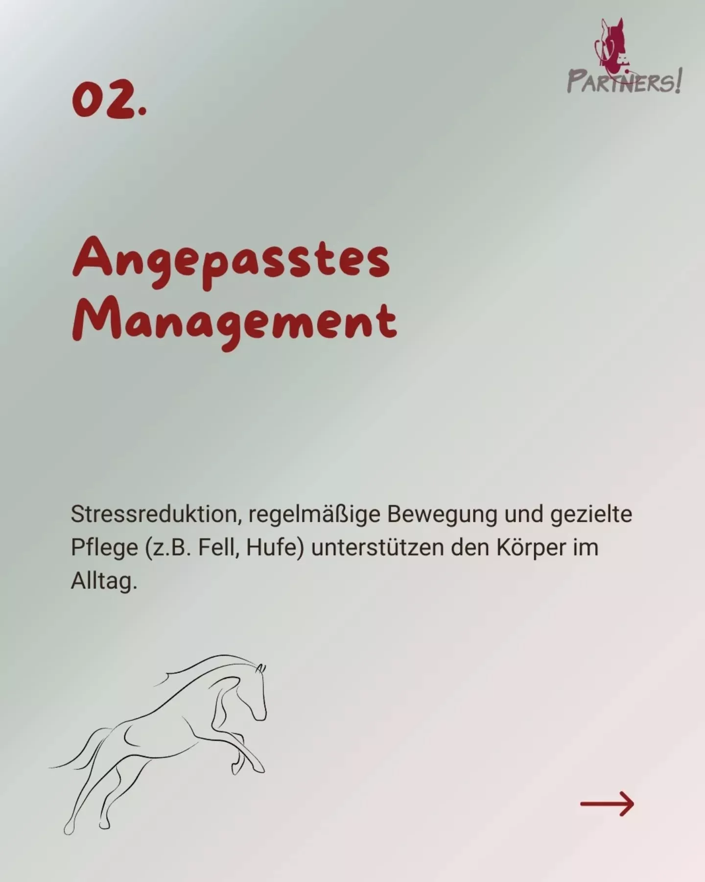 Angepasstes Management