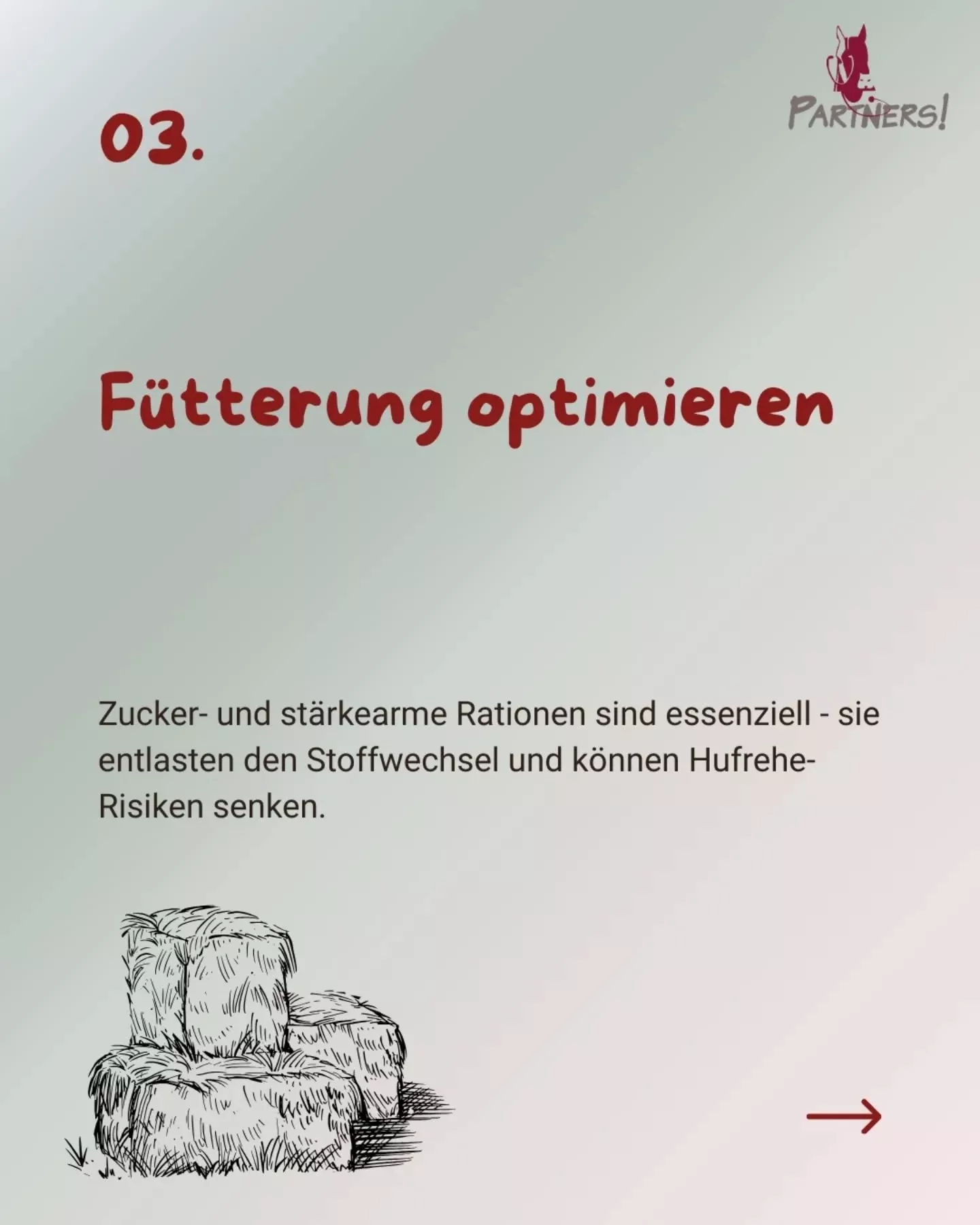 Fütterung optimieren