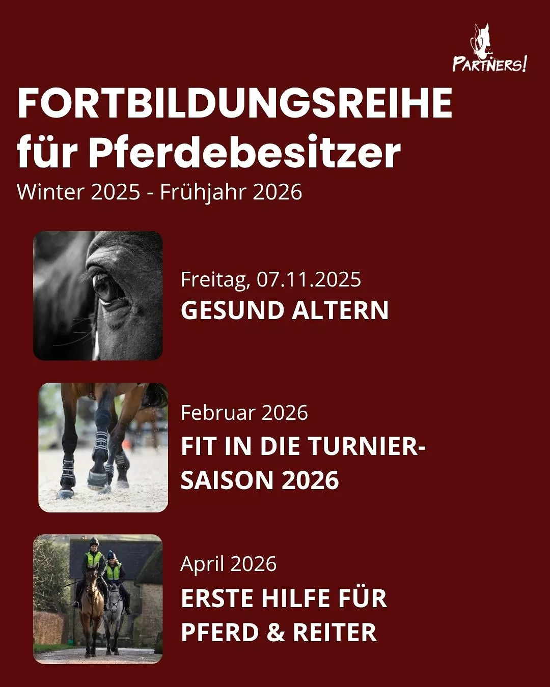 Vorschau Besitzerfortbildungsreihe: Gesund altern - wie unterstütze ich meinen Pferdesenior optimal?, Fit in die Turniersaison 2026, Erste Hilfe für Pferd & Reiter