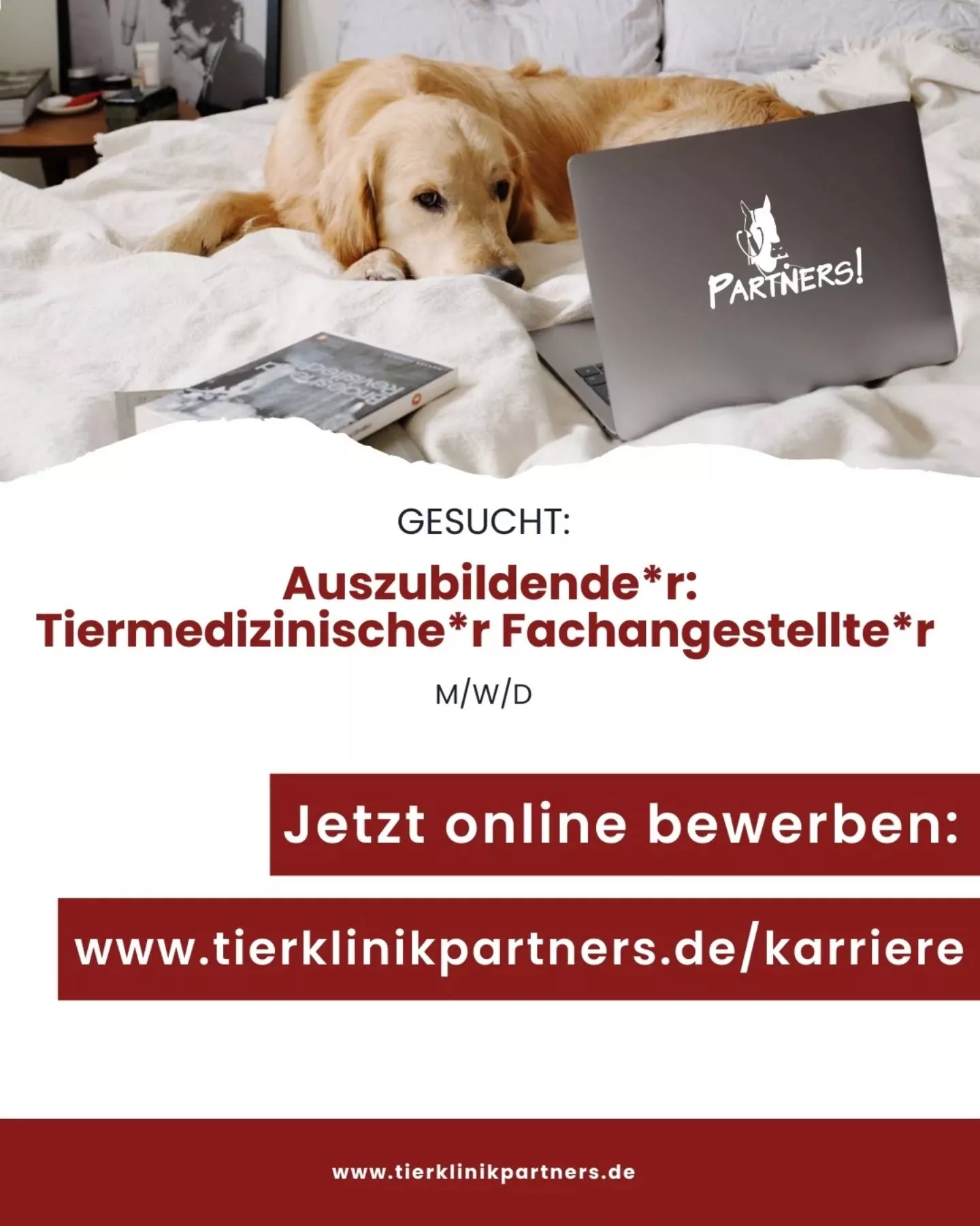 Ausbildung Tiermedizinische Fachangestellte (m/w/d) 2026 | Tierklinik Partners Ausbildung Tiermedizinische Fachangestellte (m/w/d) 2026 | Tierklinik Partners