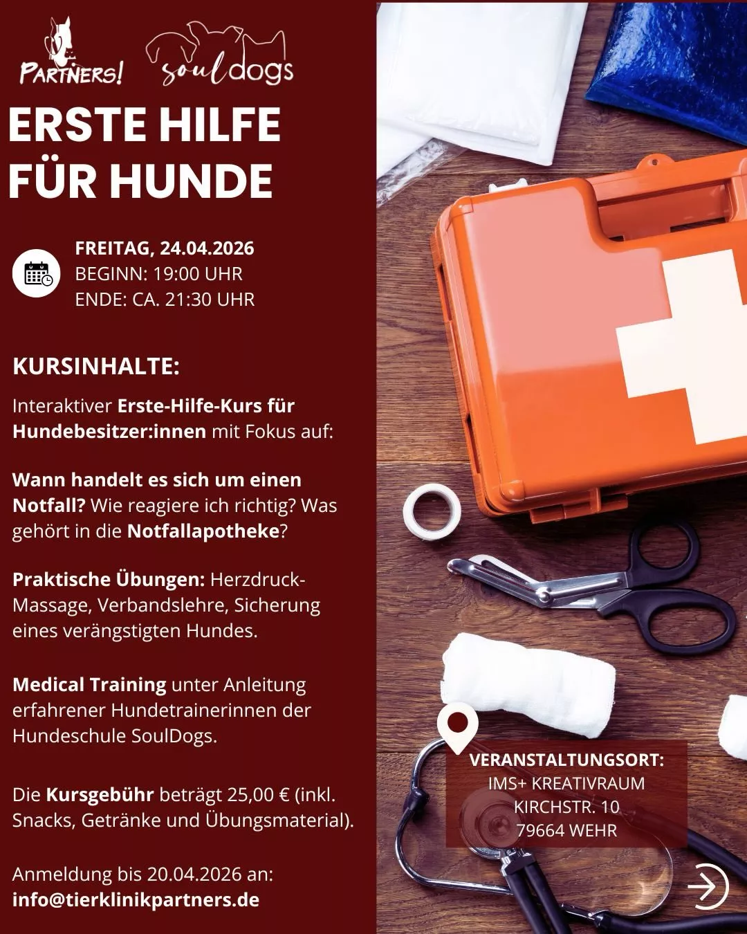 Erste Hilfe Kurs für Hundebesitzer*innen in Wehr