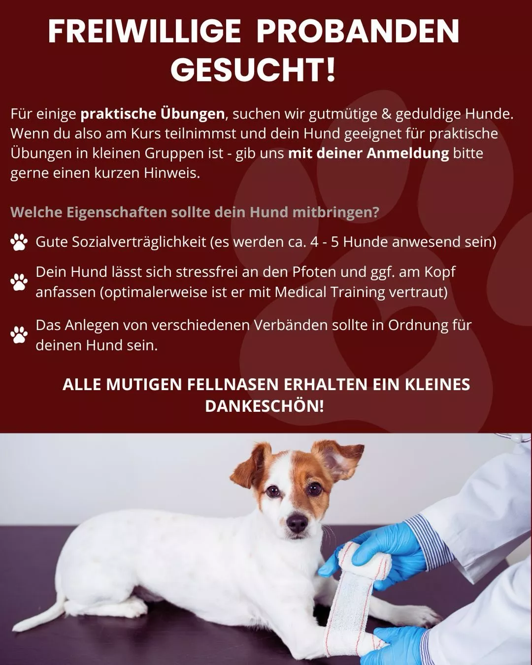 Freiwillige Probanden gesucht!