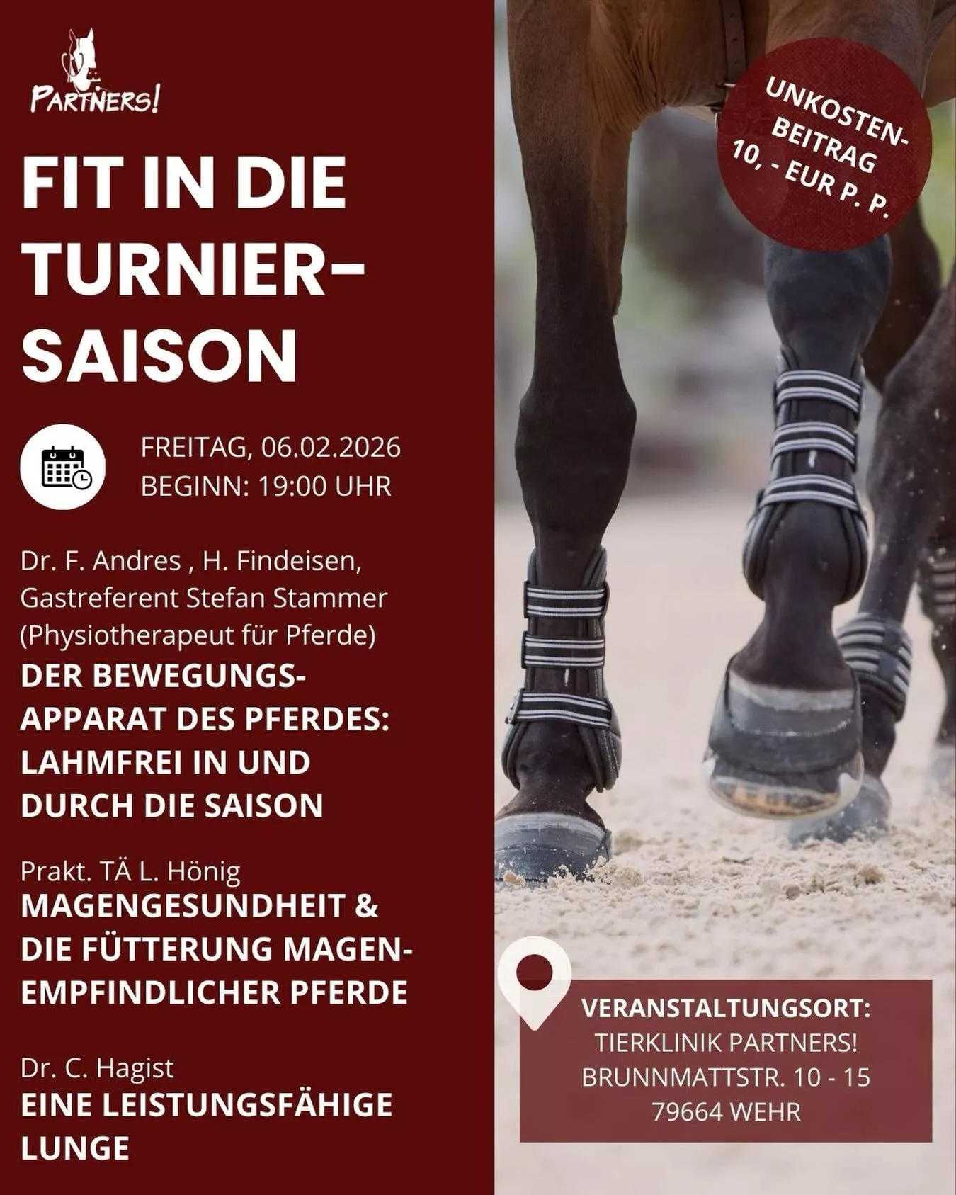 Fit in die Turniersaison – Fortbildung für Pferdebesitzer:innen | Tierklinik Fit in die Turniersaison – Fortbildung für Pferdebesitzer:innen | Tierklinik