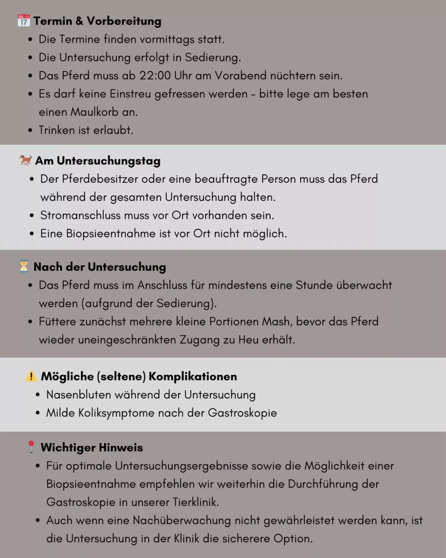 Gastroskopie beim Pferd mobil im Stall | Tierklinik Partners