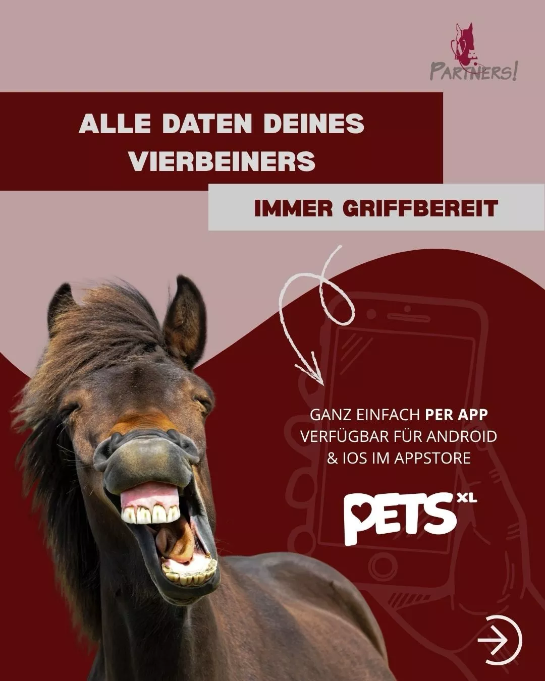 PETSXL App für Tierbesitzer – Digitale Patientenakte & Online-Termine