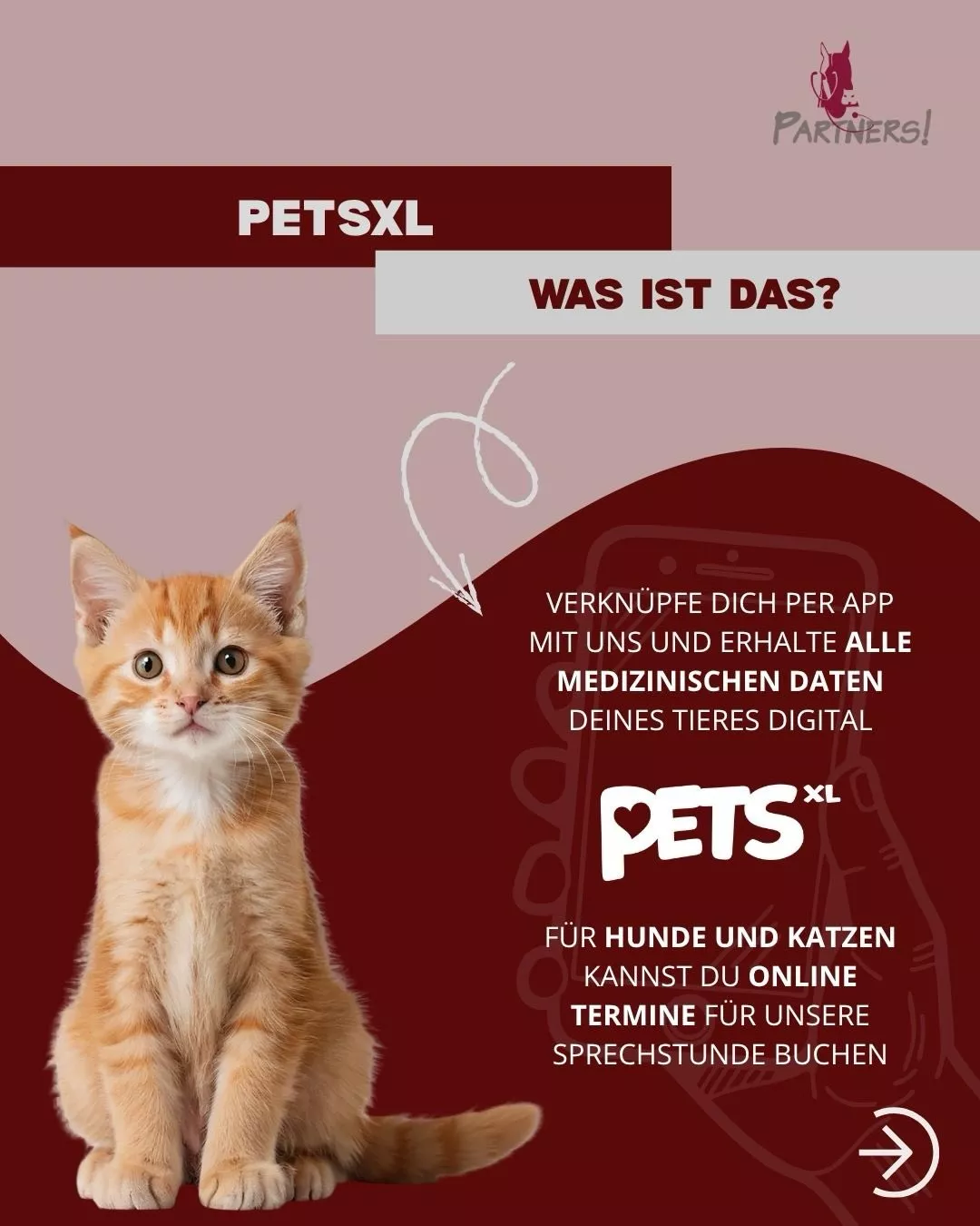 PETS XL