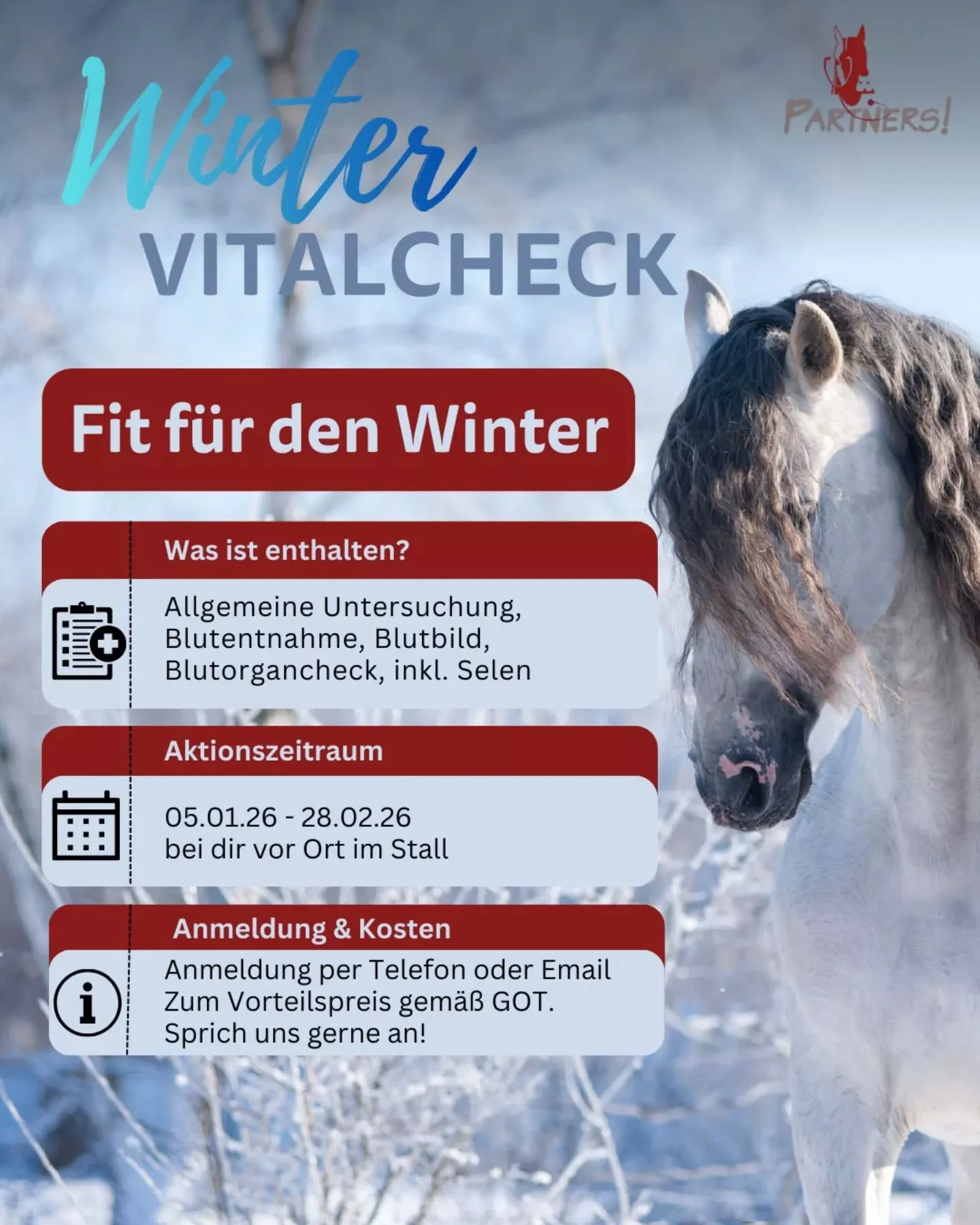 Pferde-Wintercheck 2026 – Vorsorge für Senioren- und Sportpferde Pferde-Wintercheck 2026 – Vorsorge für Senioren- und Sportpferde