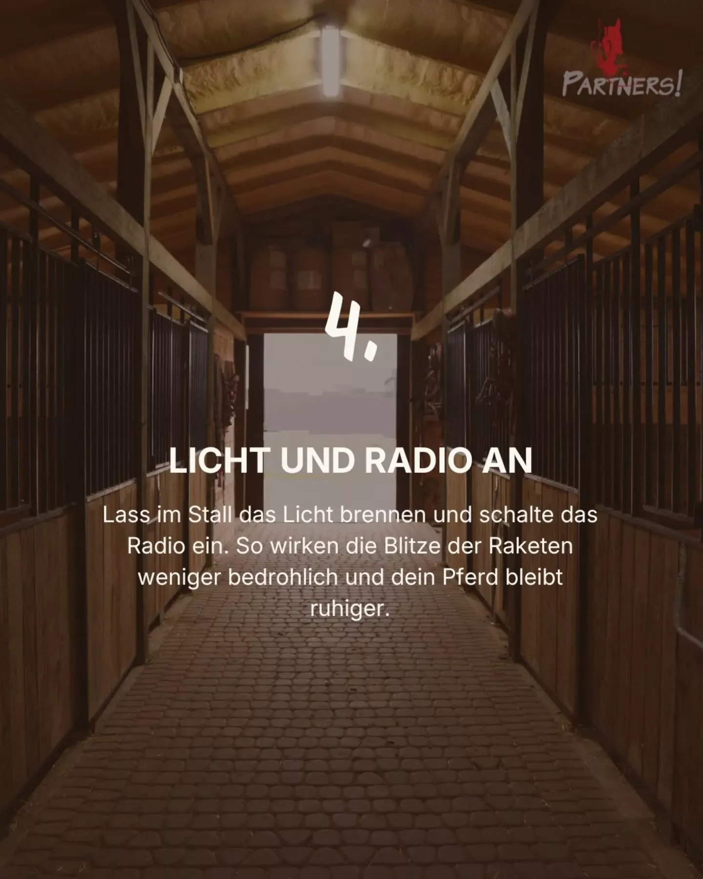 Silvester mit Pferd: 4. Licht und Radio an